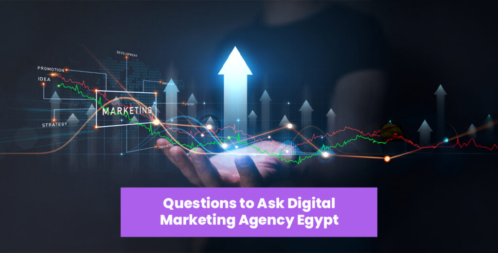 Digital Marketing Agency Egypt